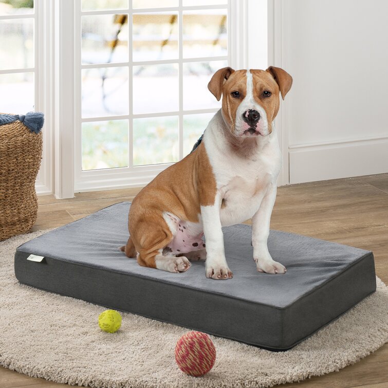 Memory foam 2024 bed dog